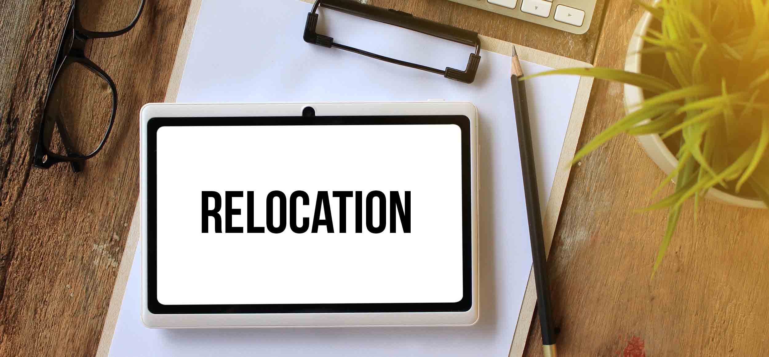 Relocation Services in the Netherlands With De Gruijter